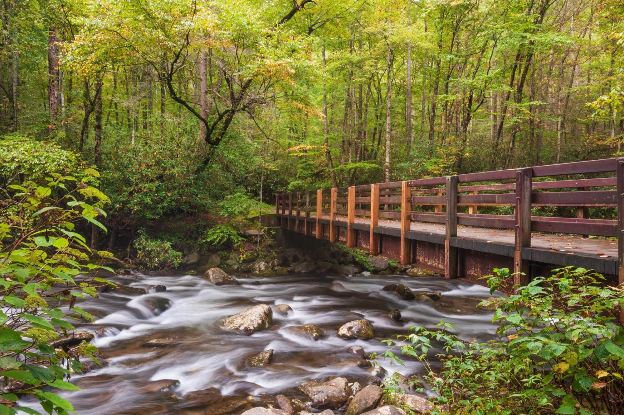 Ober Hideaway, Hot Tub, Wifi, 1089 Free Tickets Each Paid Day, Dollywood And More Gatlinburg Εξωτερικό φωτογραφία